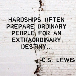 hardships destiny